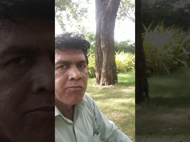 Beautiful Nature And Fresh Batata BHAJI 1...#shorts #food #foodie #bhaji #snacks #nature ##selfie