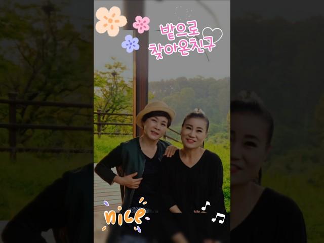 #청청아#텃밭 구경하세요️️구독좋아요 세월아 #가거나말거나 #살짝쿵 #커버#갑식이