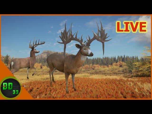 Hunting for Another Great One!  LIVE 1080HD Call of the Wild