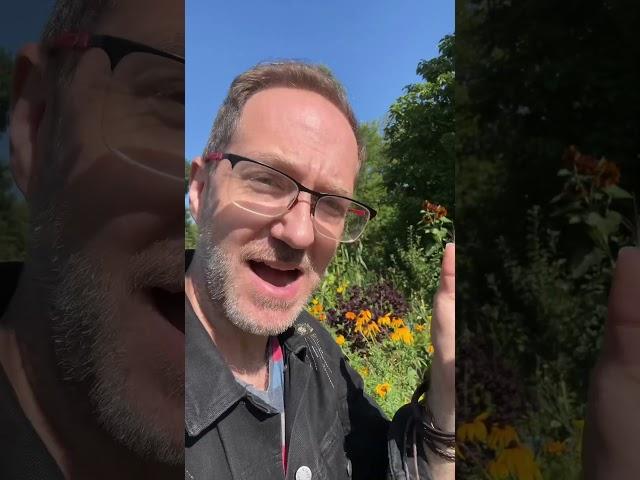 Pros and cons of food forest gardens #permaculture #gardendesign #foodforest #forestgarden #garden