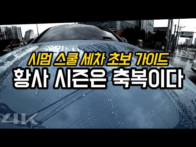 세차병에 걸리는 황사 & 꽃가루 시즌, 극단적인 셀프 세차 방법 // 시멈 스쿨 세차 초보 가이드 번외편) 아머올 쉴드+세라믹 카워시 코팅 카샴푸