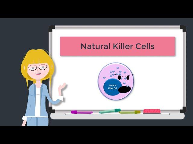 Natural Killer Cells - Best Immunology Tutorials Dr Kristeen Barker