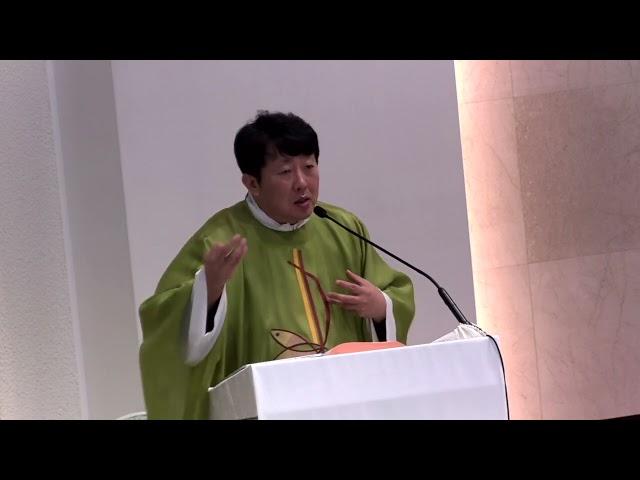 [매일미사 강론] 끊임없는 기도는 하느님께서 반드시 응답해 주십니다. 염치 없어도, 뻔뻔해 보여도 성령을 청하십시오. 연중 제27주간 목요일 24.10.10./ 김재덕 베드로 신부