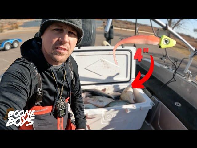 The Small Baits Did The Trick | Oklahoma Winter Deadstick Fishing