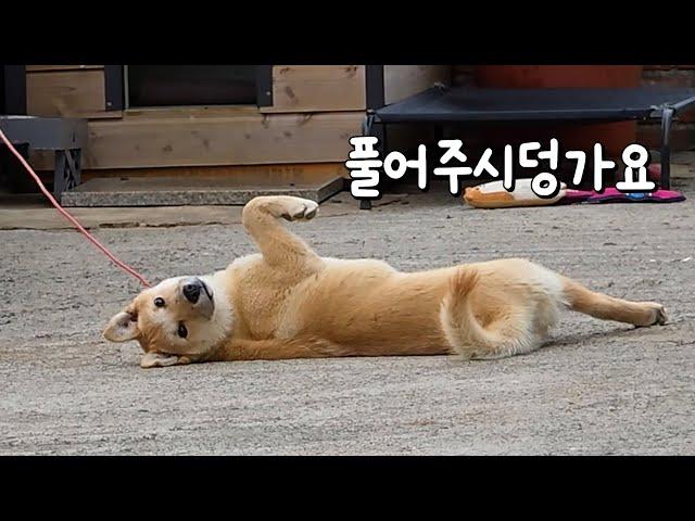 이제 익숙해져야 합니다