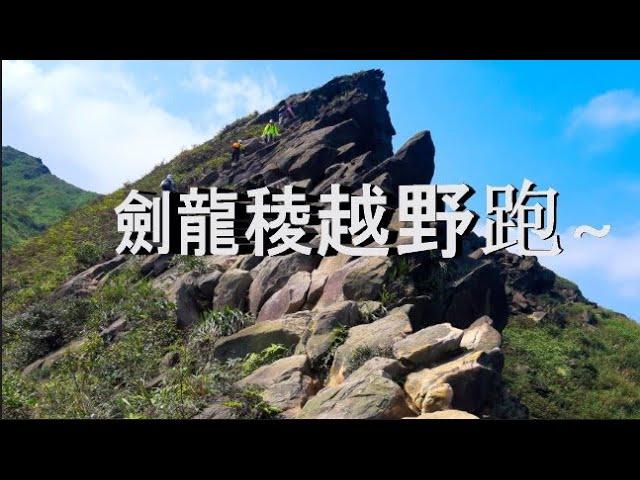 劍龍稜越野跑到底難不難 ? Stegosaurus Ridge trail running