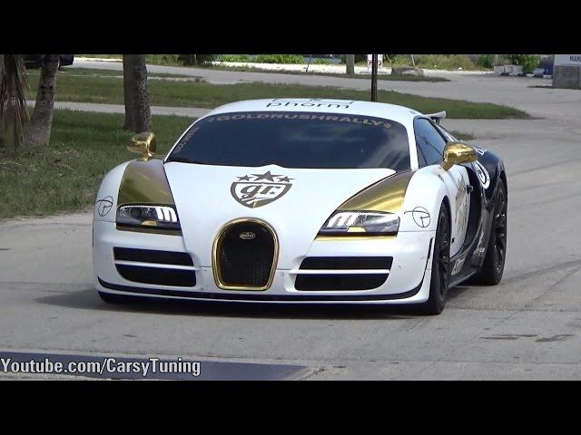 goldRush Rally 2015 Miami Grid Arrivals - Pur Blanc, Bleu Vitesse, 918 Spyder, Aventadors and more!