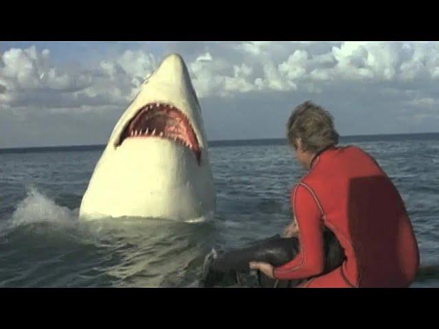 The Last Jaws (1981)  Full Movie