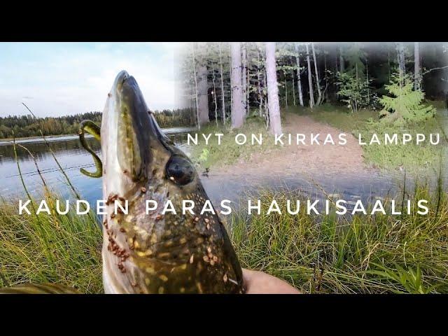 HAUKI HURJALLA PURULLA | TESTISSÄ ARMYTEK WIZARD C2 PRO MAX