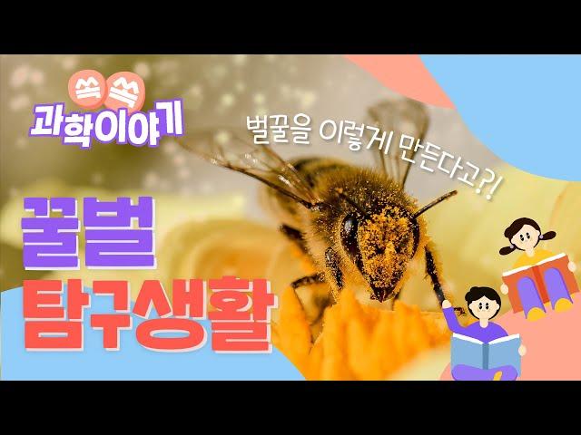 Bee Exploration Life│Science Story Episode 7