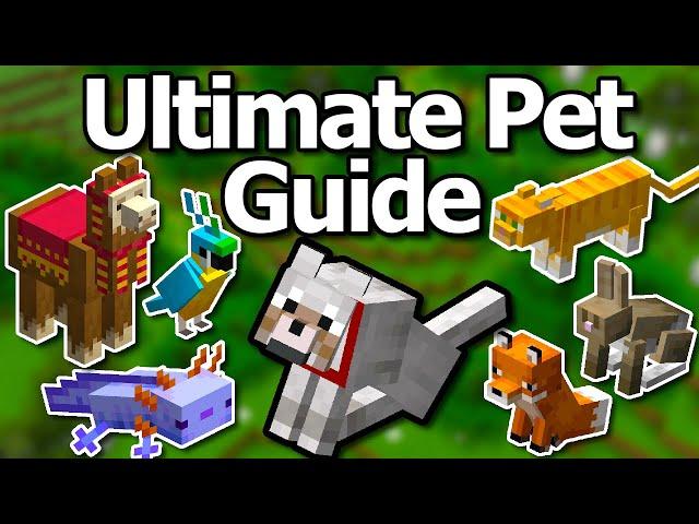 Ultimate Minecraft 1.20 Pet Mob Guide | How To Tame All Mobs Cat Wolf Parrot Llama Fox & More!