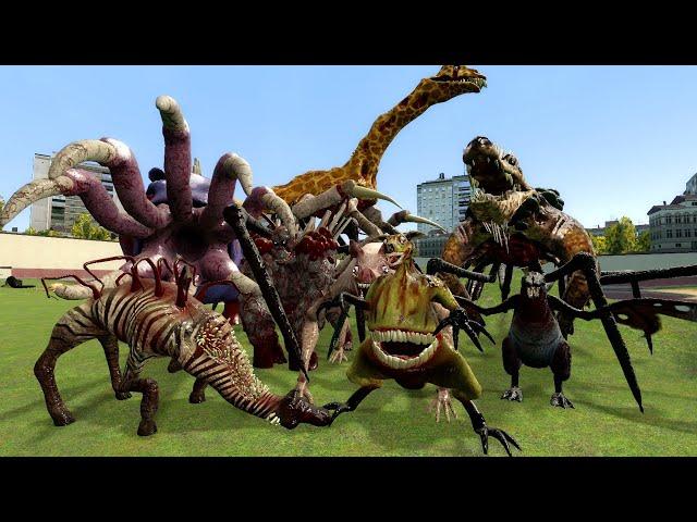 Zoochosis 4: third-person screamers | Zoochosis Animation