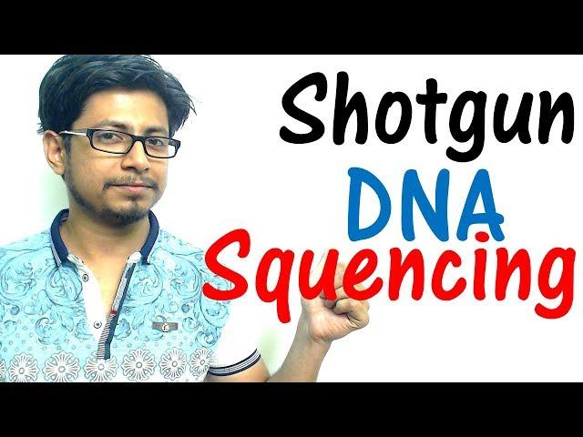 Shotgun sequencing method explained