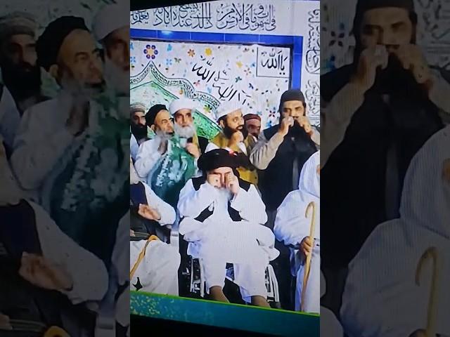 khadim hussain rizvi | ye gulami naat, #zia_khan_sawati1 #khadimhussainrizvi #allah #naat #shorts