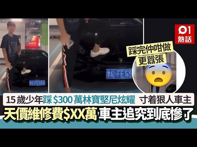 15歲少年踩$300萬林寶堅尼炫耀　維修費$XX萬　寸着狠人車主慘了｜01熱話｜內地｜山東｜挑釁｜林寶堅尼｜炫耀