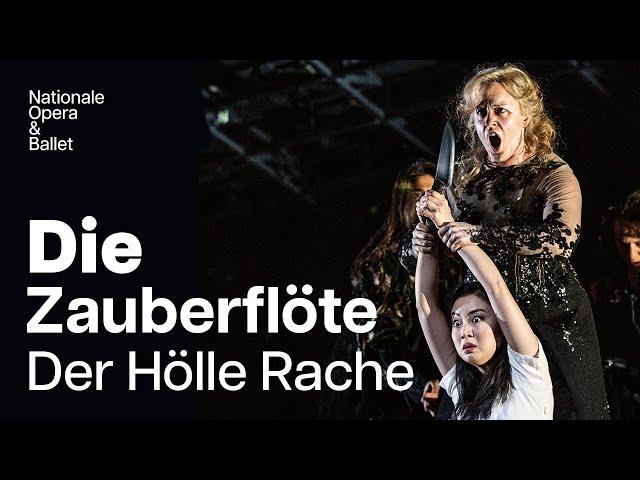 Rainelle Krause sings 'Der Hölle Rache' in Die Zauberflöte | Dutch National Opera