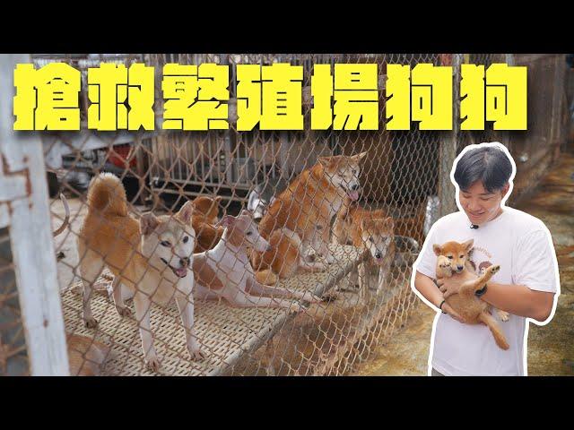 搶救繁殖場狗狗！捐了1萬公斤飼料給狗園！ft.趙媽媽狗園【Joeman】