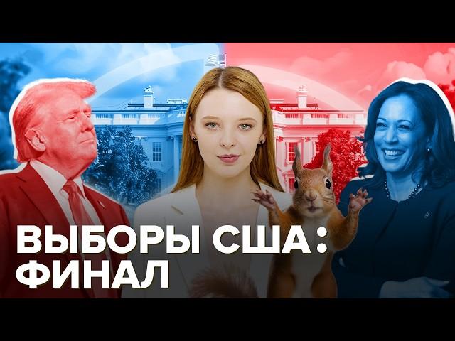 Выборы в США завтра: Белку-то за что? | Мусоровоз Трампа | Удвоение Харрис | Прогнозы: кто победит?