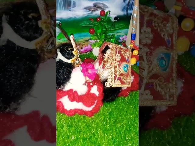 Radhe Radhe @Official_ Darshika