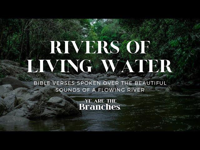 GET SOME REST// Bible Verses Over A Flowing River/ Meditation |5 HOURS| #asmr #meditation