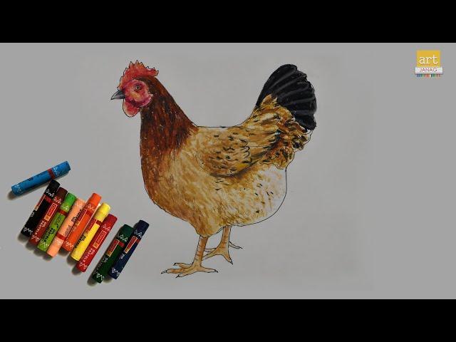 How to draw Hen II Hen Drawing II By Art JanaG