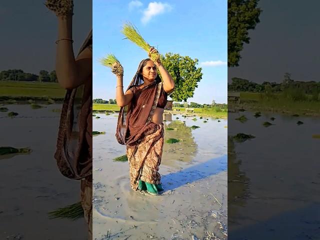 #trending #shorts #viral #youtubeshorts #reels #funny #comedy #Brijesh Patel