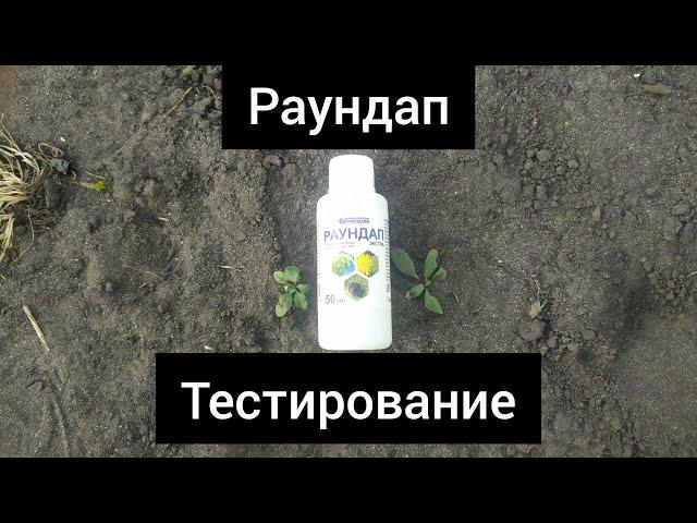 Средство от сорняков Раундап (гербицид). Тестирование.