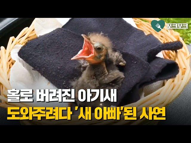 홀로 버려진 아기 찌르레기 도와주다가 새아빠 된 남자