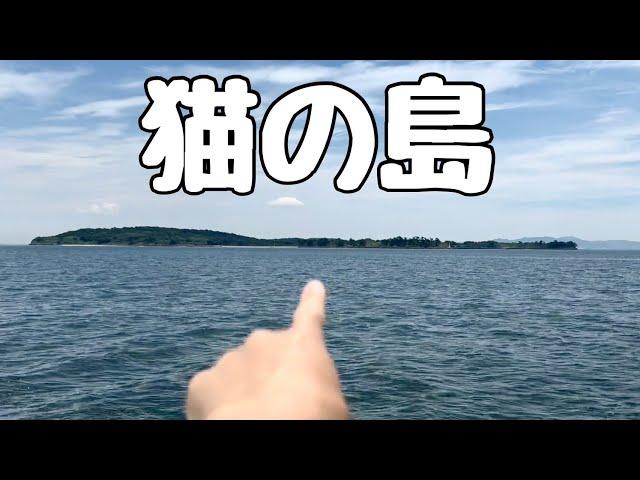 【いろんな島行ってみた】佐久島っていう島にいってみた！