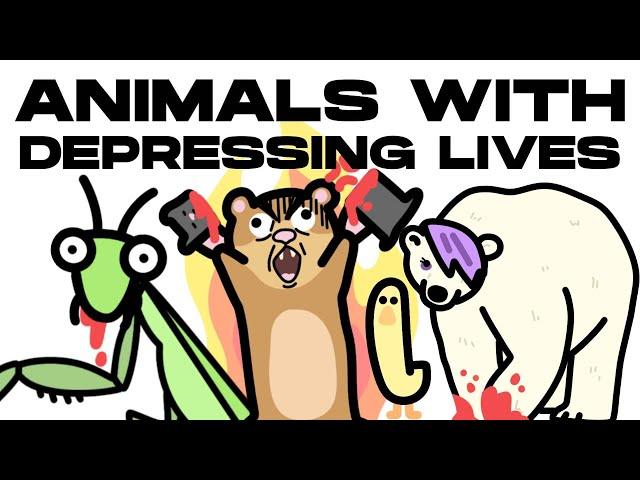 Animals With The WORST Lives