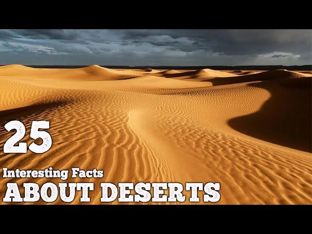 Interesting Facts About Deserts