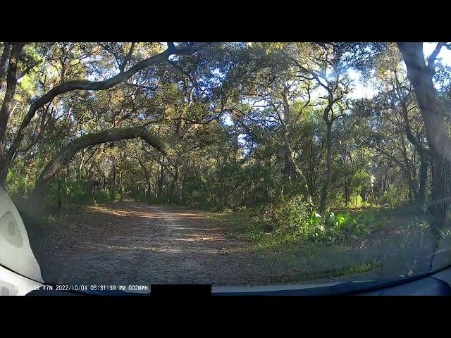 delivering in rural Florida   4K