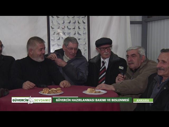 Güvercin Hazırlanması Bakımı Ve Beslenmesi | Güvercin Sevdamız - 14. Bölüm