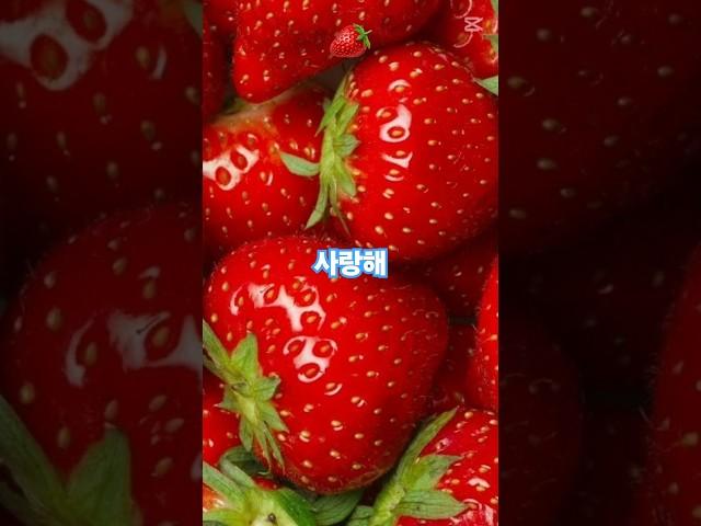 사랑스런 동생