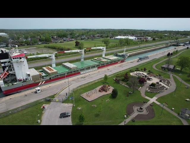 Royal Wagenborg's Alamosborg upbound on Welland Canal