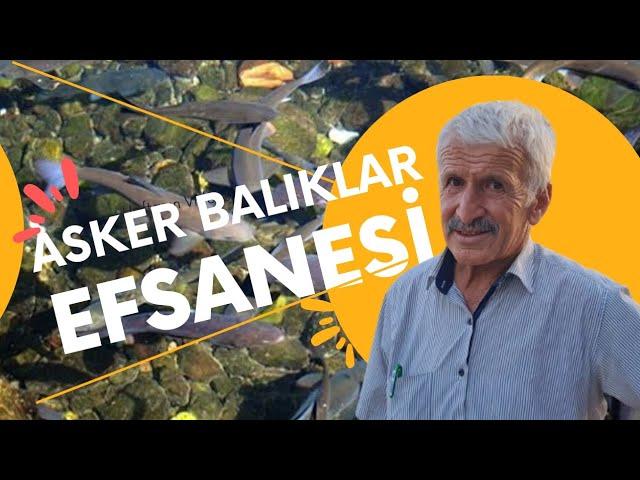 Çankırı Asker Balıklar Efsanesi #askerbalıklar #çankırı #balık