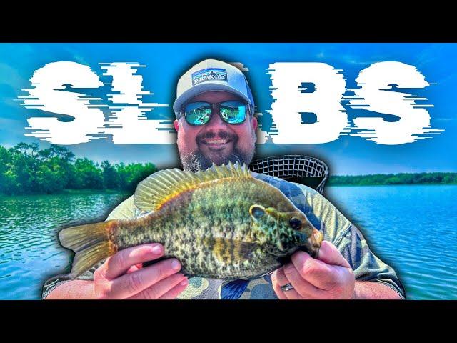 MONSTER SLAB SHELLCRACKERS (and a huge catfish)!!