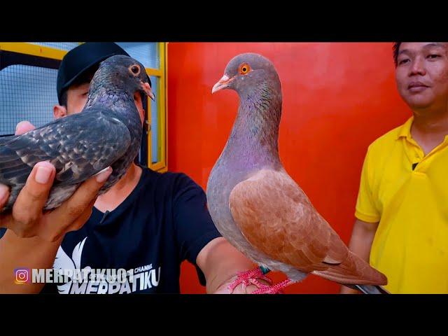 KEMBARAN JOWO ANAK LONDO ft TJAN BILLY