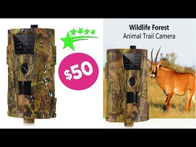 Best Waterproof Trail Camera Under $50 [AliExpress]