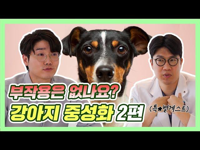 강아지 중성화 수술 부작용 | 설채현 행동학 수의사 (feat.VIP 동물의료센터 김종인 원장)