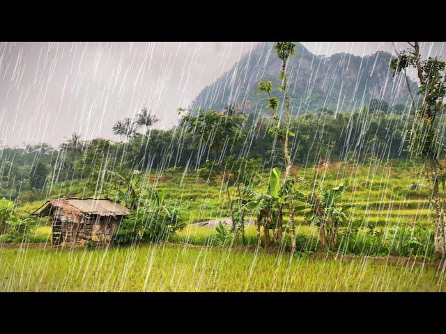 Finding peace!! Walk in the heavy rain in my village, Rainy day find happiness, Looking for life