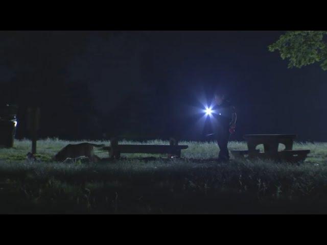 Deadly mass shooting in Fairmount Park: The Lineup