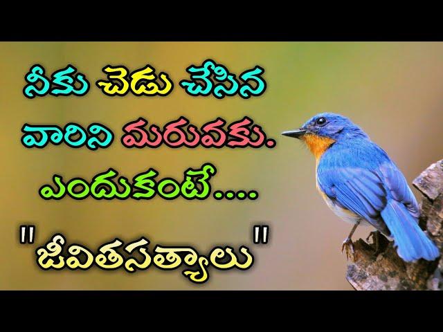 జీవిత సత్యాలు #160 |మంచి మాటలు|Inspirational quotes|Motivational quotes|సూక్తులు|Telugu quotes