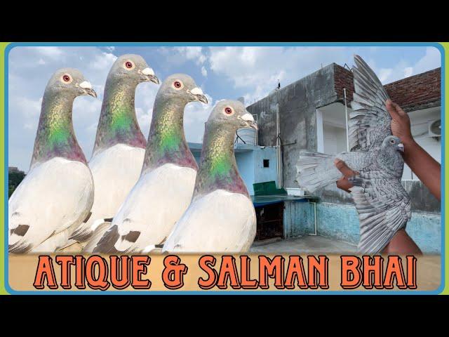 Atique & Salman Bhai Se Mile Kabootaron Ka Shok | X Fighter Birds