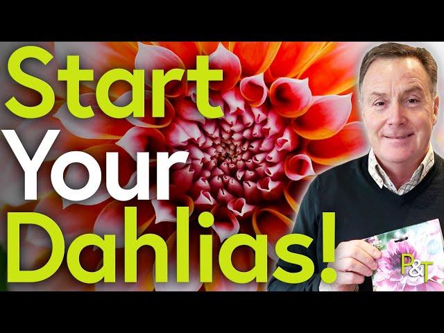 How to Start Your Dahlia Tubers - Pots & Trowels