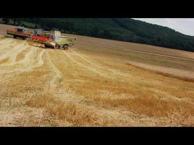 Aratás 2013 | "Kék gatyások" /Gyermelyi Zrt./