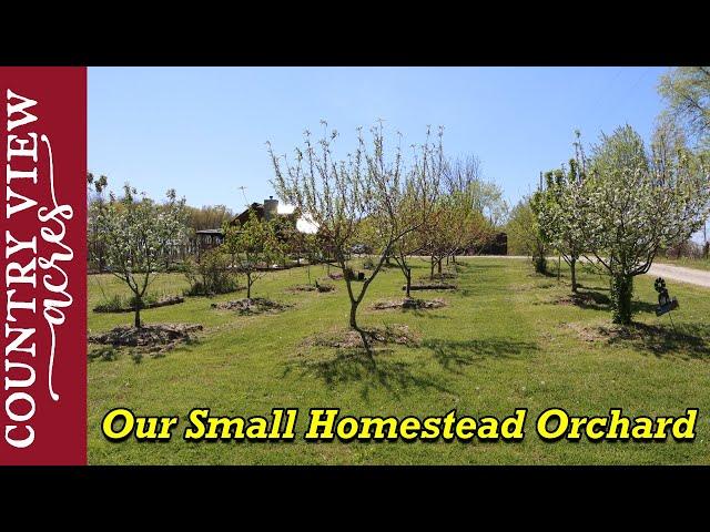 Homestead Orchard Spring Walk Through