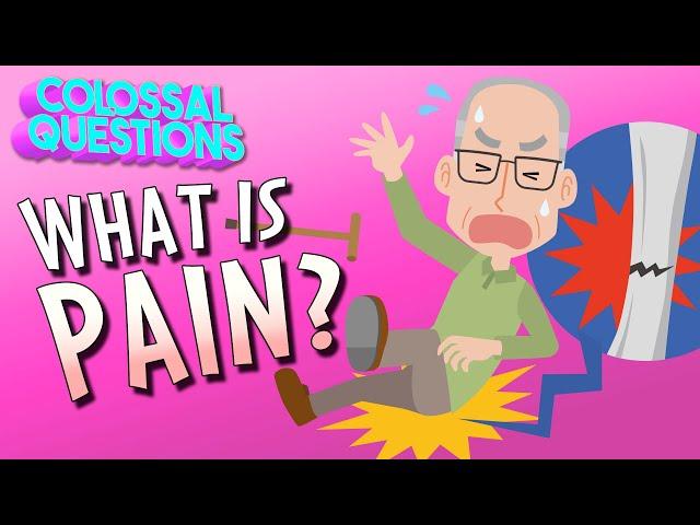 What Is Pain? | COLOSSAL QUESTIONS