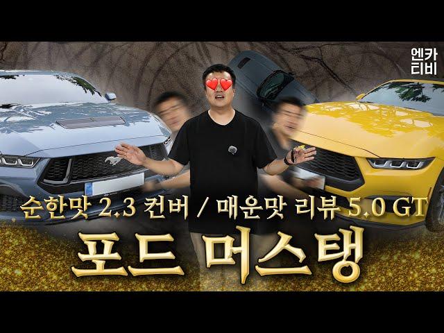 가장 미국스러운 머슬카 7세대 포드 머스탱 "2.3에코부스트:컨버 l 5.0GT 쿠페" 비교 시승기