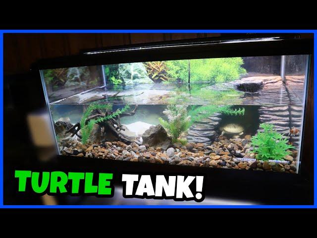 Setting Up A 40 Gallon TURTLE TANK!